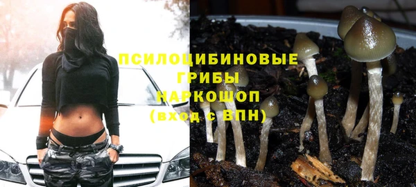 таблы Медногорск
