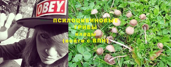 бутират Мегион