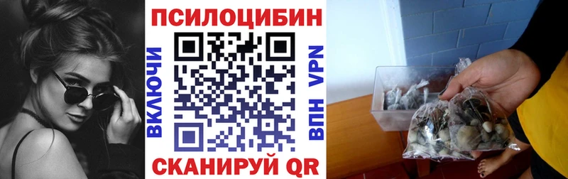 Купить закладки  Гурьевск  Галлюциногенные грибы Magic Shrooms 